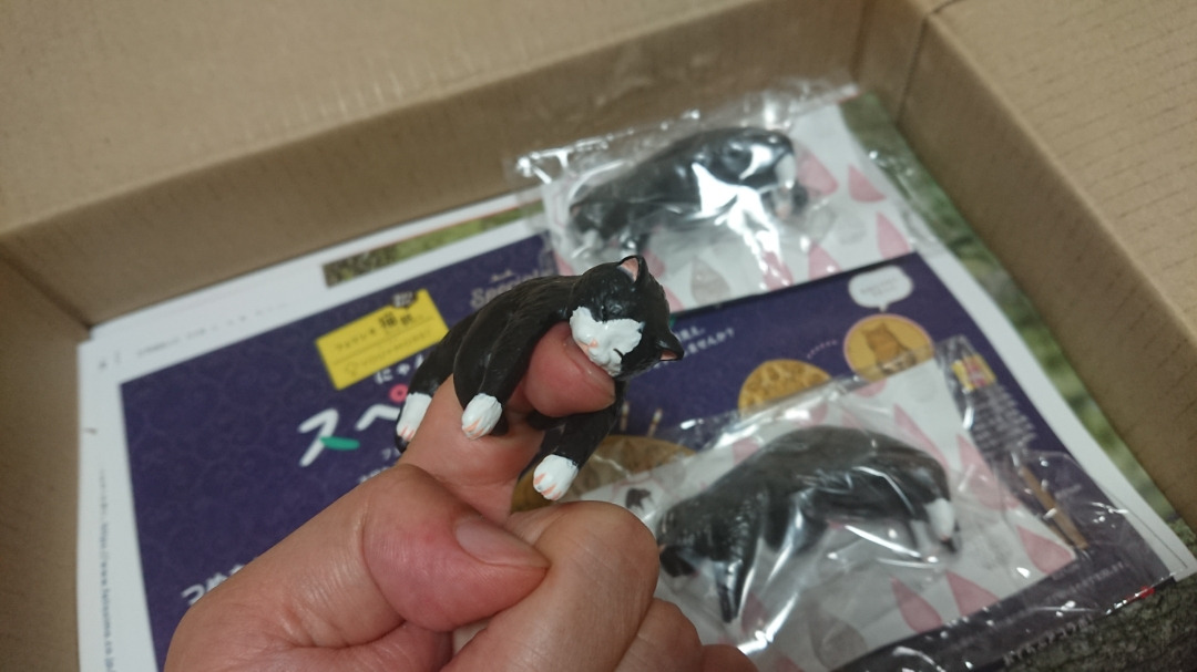 フェリッシモ その2