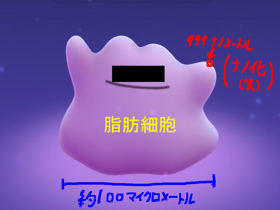 ナノ化って脂肪細胞を切り刻んでゴミにして注入するの？