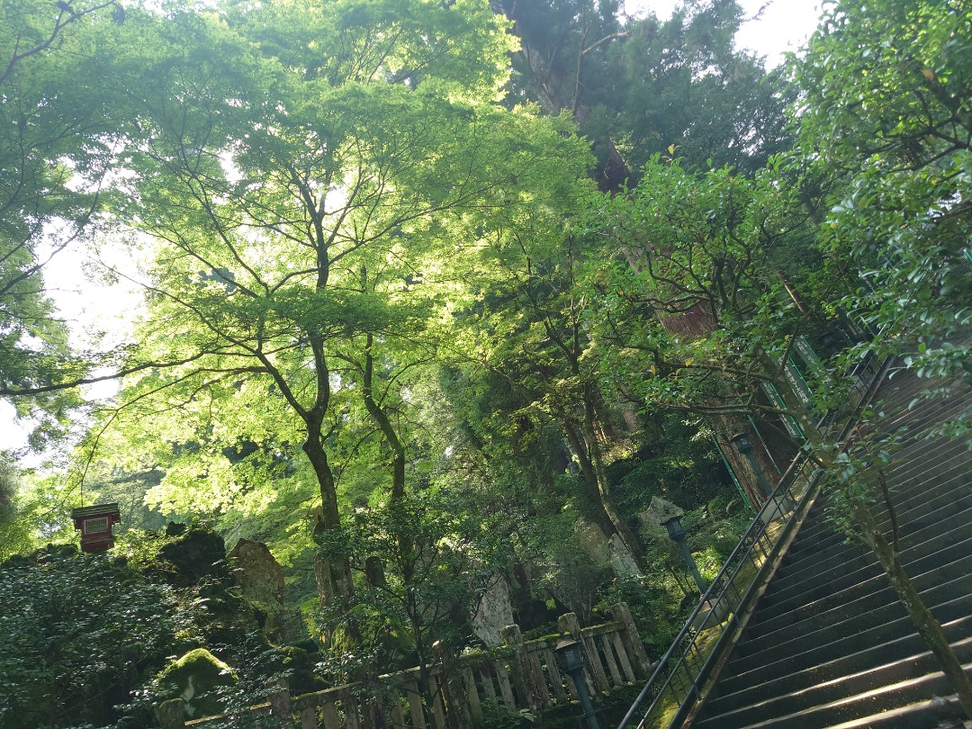 大雄山最乗寺　　お参り