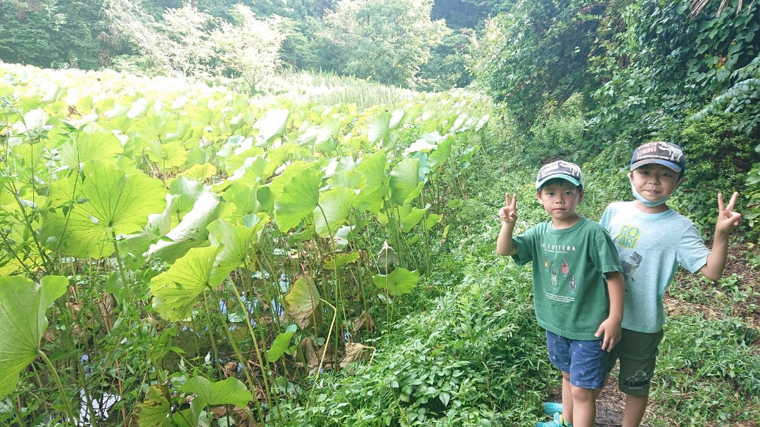 底なし沼と兄弟愛