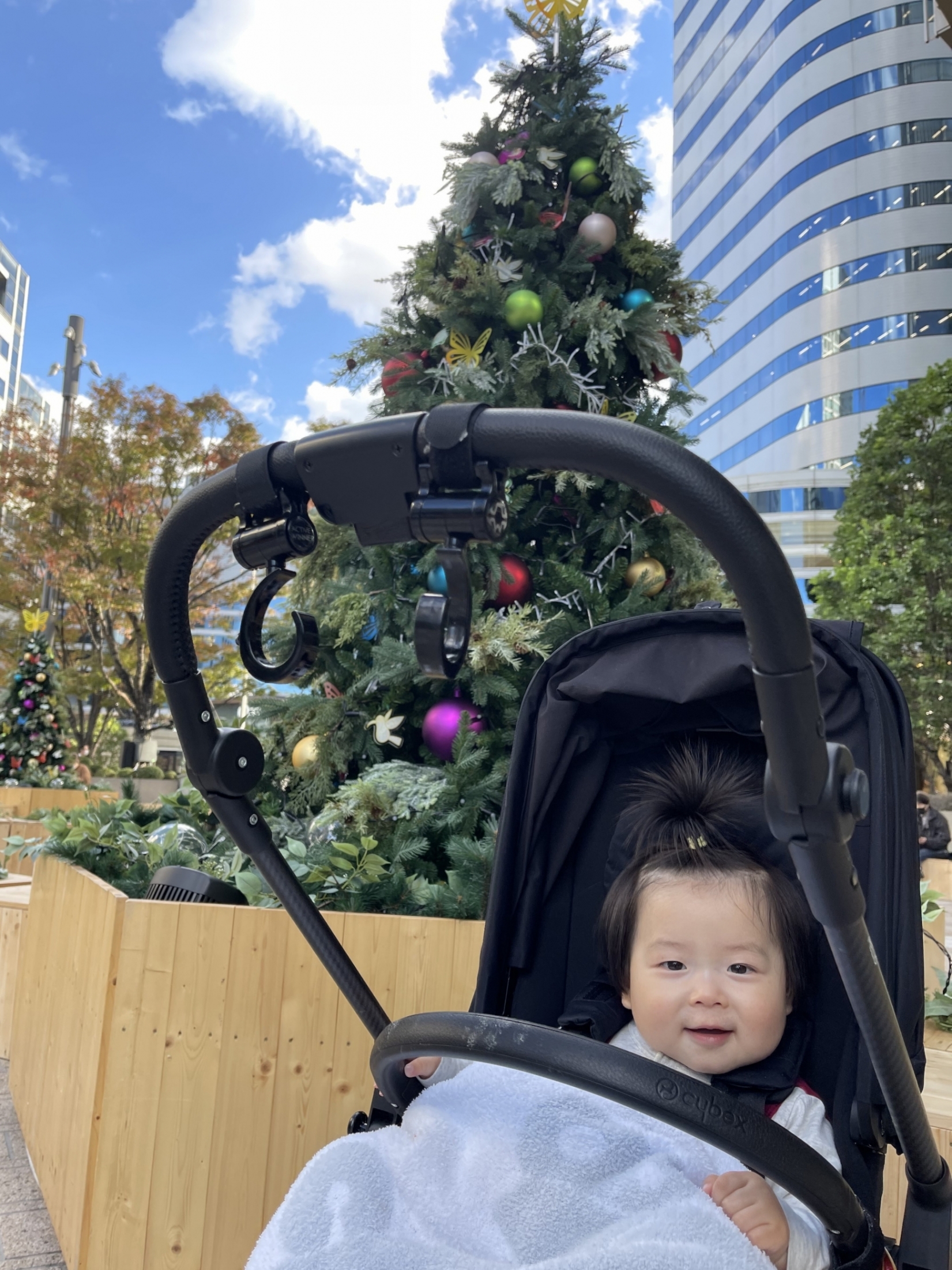 冬の散歩とグダグダうだうだ　”うつ伏せアラーム　MonBaby”