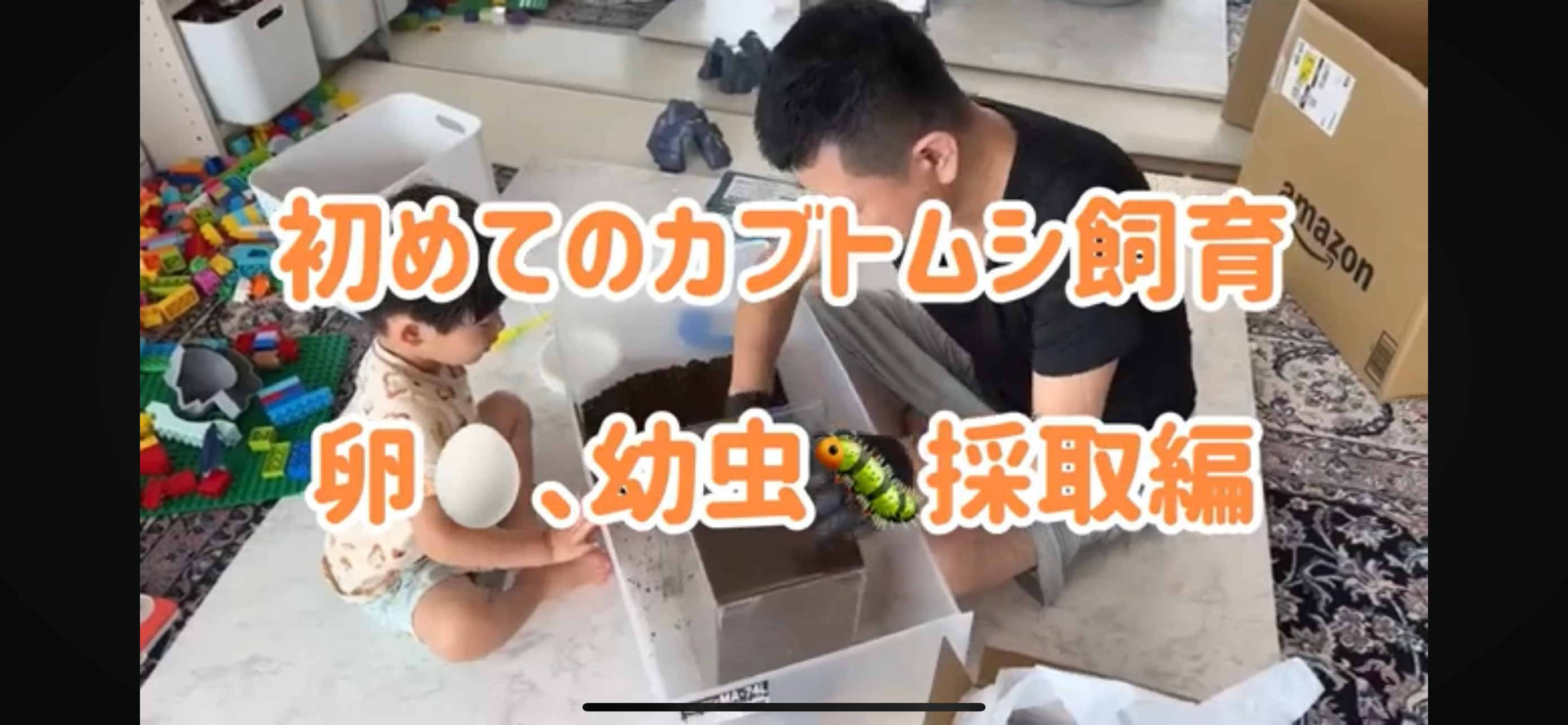 初めてのカブトムシ