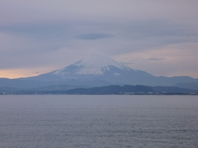 シンシア～Sincerely Yours　銀座の美容外科・美容皮膚科-富士山
