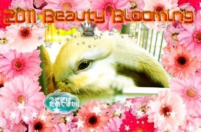 シンシア～Sincerely Yours　銀座の美容外科・美容皮膚科