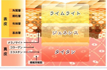 シンシア～Sincerely Yours　銀座の美容外科・美容皮膚科