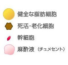 シンシア～Sincerely Yours　銀座の美容外科・美容皮膚科