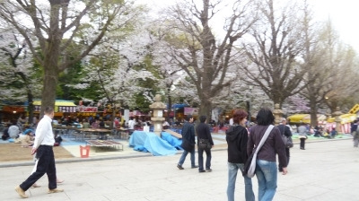 シンシア～Sincerely Yours　銀座の美容外科・美容皮膚科