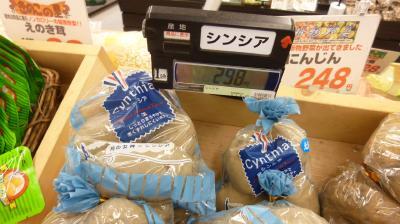 シンシア～Sincerely Yours　銀座の美容外科・美容皮膚科