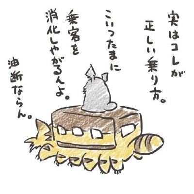 シンシア～Sincerely Yours　銀座の美容外科・美容皮膚科