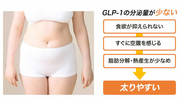 Glp 1 痩せホルモンの効果で我慢しないダイエット コスメディカルクリニックシンシア Glp 1 痩せホルモンの効果で我慢しないダイエット コスメディカルクリニックシンシア