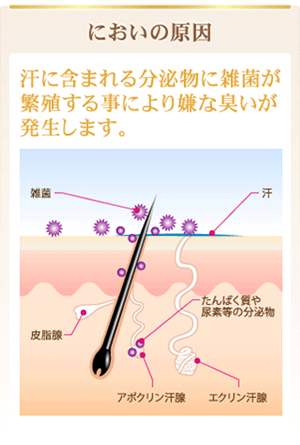 においの原因
