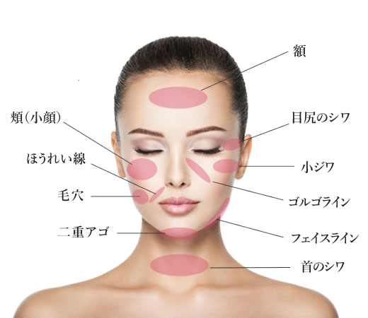 適応部位(顔)