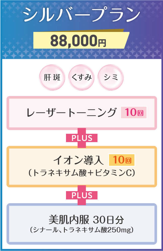 夏のBeauty福袋　シルバープラン