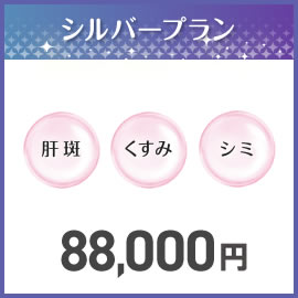 2025 夏のBeauty福袋　シルバープラン
