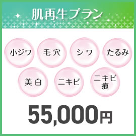両院共通おすすめ人気メニュー　肌再生プラン