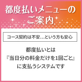 都度払いメニューのご案内