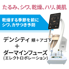 乾燥する季節の前に　デンシティ＋ダーマインフューズ